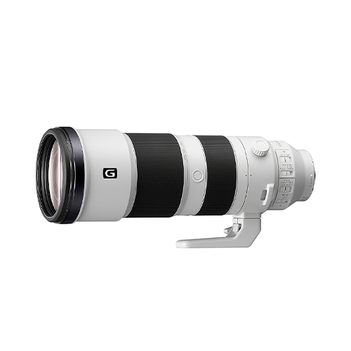Sony FE 200-600mm G OSS